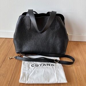 Cuyana Zippered Satchel